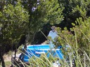 The Swimming Pool