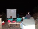 Movies under the stars