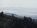101303 037