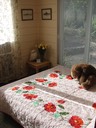 The Downstairs Bedroom