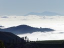Elarra 011903-07