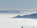 Elarra 011903-42