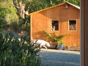 The Shed