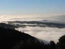 IMG_2069