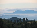 IMG_2083