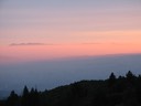 IMG_2136