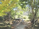 Woof's Spot - One of our camping areas