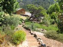 Looking down the observatory trail