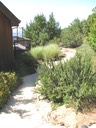 The Path to Yori's Spot